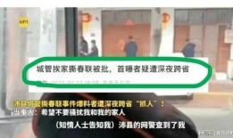 撕春联视频爆料者是谁,揭秘撕春联视频幕后爆料者身份